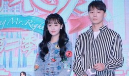 娱乐圈吃瓜全集解说,揭秘明星幕后真相与八卦风云