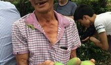 桑植新瓜最新爆料,揭秘瓜界新宠儿的神秘面纱