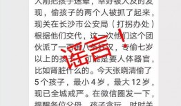 长沙公安局爆料信息最新,揭秘网络诈骗团伙作案手法及防范措施