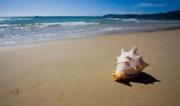 海南海边爆料案件最新,真相即将揭晓！